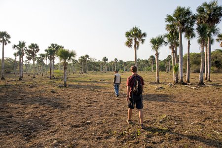 Cienaga de Zapata Image